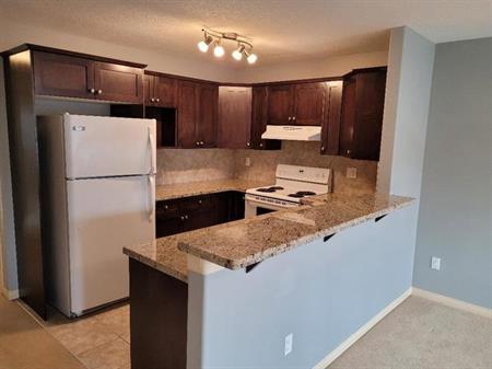 Beautiful NW 1 Bedroom Condo Available! | 4608 17 Avenue Northwest, Calgary