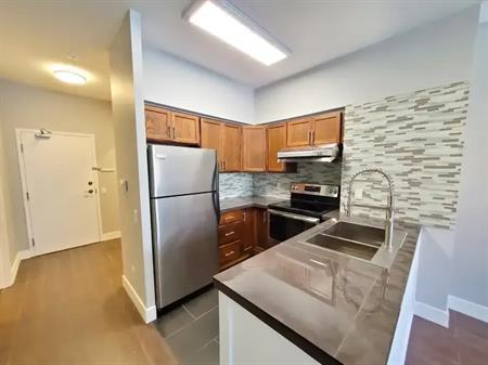 Musee Condos #15637 | 525 Adelaide Street West, Toronto