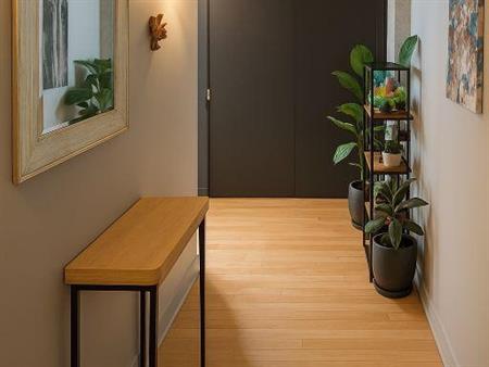Superbe condo 4 1/2 Villeray / Petite Italie