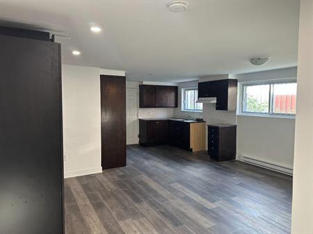 Studio rénové | Renovated Studio à Montréal-Nord