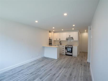 3 Bed, 1 Bath - 10350 Avenue De Bois-de-Boulogne, Montréal