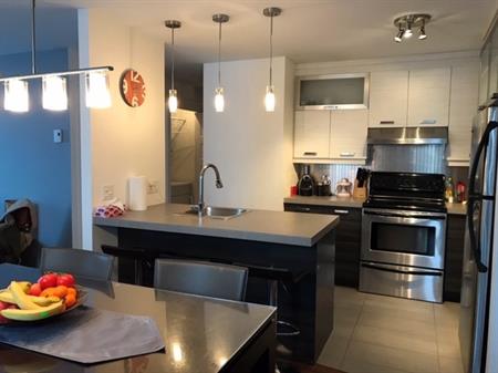 Magnifique Condo Meublé Tout Équipé
