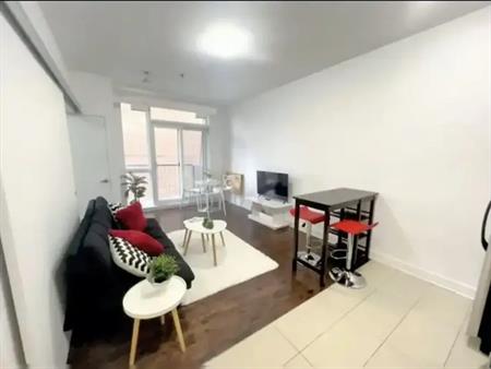 1 bedroom fully furnished downtown | 360 Cumberland Street, Ottawa