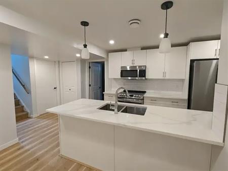 Newly Renovated Spacious Legal Basement Suite | Edmonton