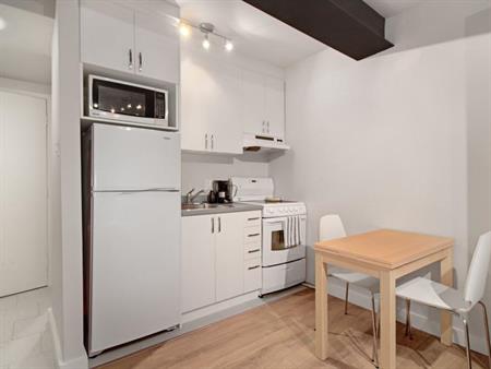 Beau studio dans Saint-Jean-Baptiste - Meublé et eau chaude - Québec