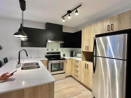 Grand 3 1/2 à Louer Lachute