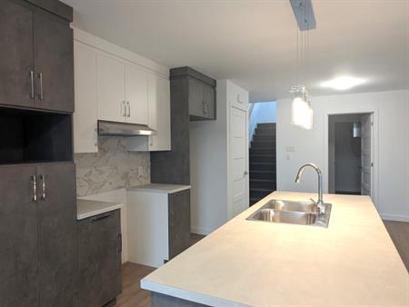 Magnifique 4 1/2 Neuf - 1 MOIS GRATUIT