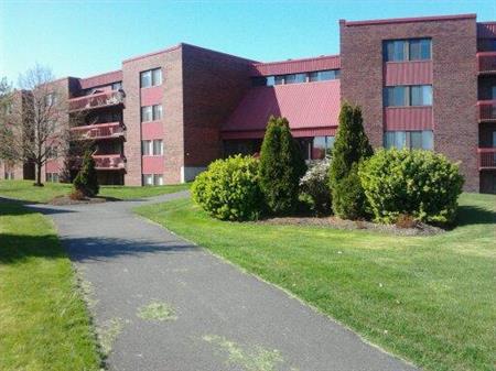 Boucherville grand 4 1/2 libre 1er juillet rénové 1500/mois