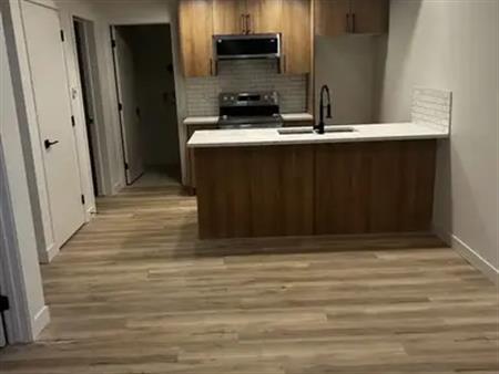 Newly Built 2 Bedroom 1 Bathroom Legal Basement suite in Spruce Avenue | 11605 101 Street Northwest, Edmonton