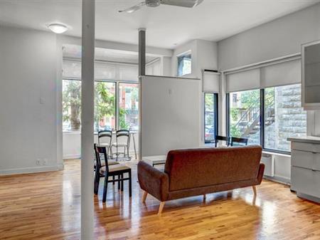Condo 4 1/2 au rez-de-chaussée ( plateau mont-royal )