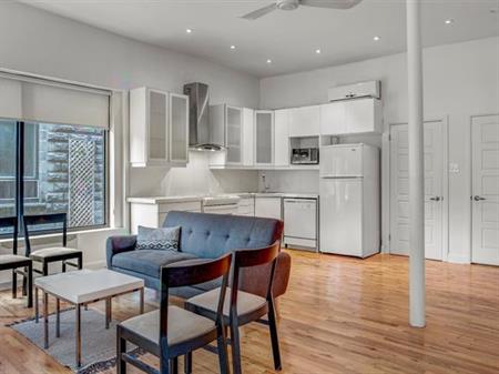 Condo 4 1/2 au rez-de-chaussée ( plateau mont-royal )