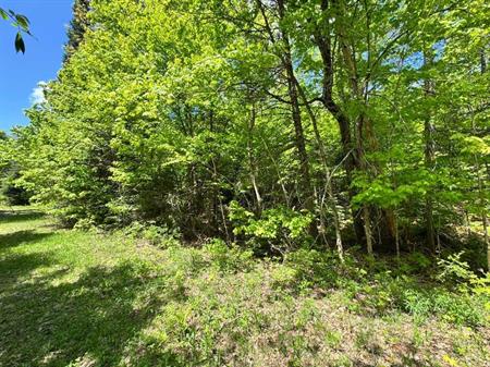 Terrain de 80 000pi2 pour auto-constructeur à Morin Heights