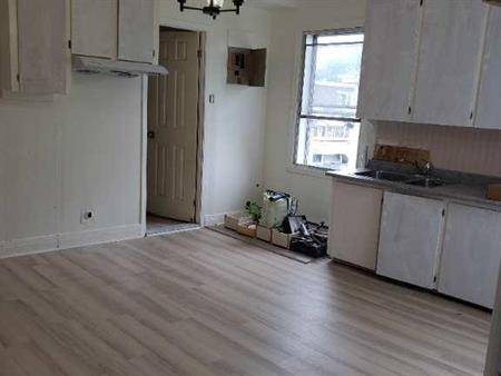 5 1/2 newly renovated in ville Saint-Laurent
