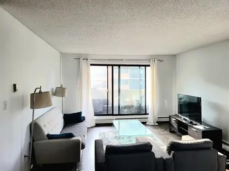 Sunny Beltline Corner Unit | 401 - 1234 14 Ave SW, Calgary