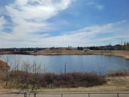 Beautiful house with a gorgeous pond view! | 37 Brightonstone Landing Southeast, Calgary