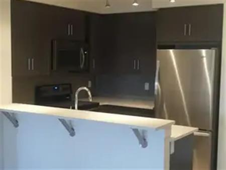 Pet Friendly Upgraded Condo w/ 2BD, 2 BR, underground parking, large patio | 103 - 25 Auburn Meadows Ave SE, Calgary
