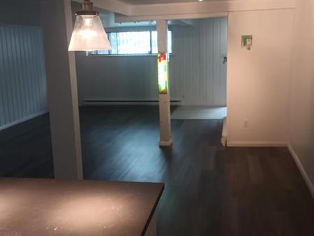 ANJOU GRAND 3 1/2 STYLE LOFT TOUT OUVERT RÉNOVÉ