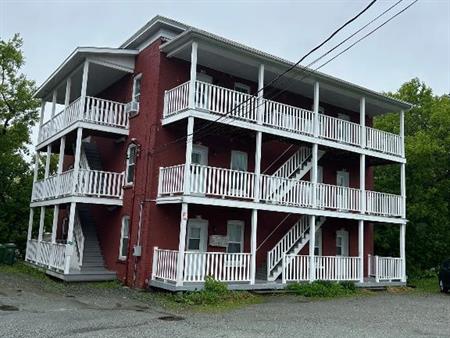 À louer – Grand 4 ½ rénové et lumineux à Sherbrooke