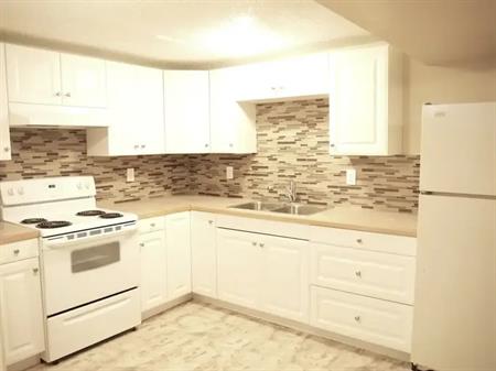Large 1200sf Renod 2BR Walkout Bsmt-Renod kitchen/bath-Own fenced yard-Pets ok | 6028 Madigan Dr NE, Calgary