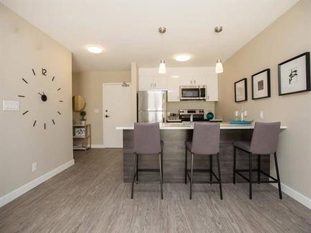 The Pinnacle at Bridgwater | 355 Bridge Lake Drive, Winnipeg