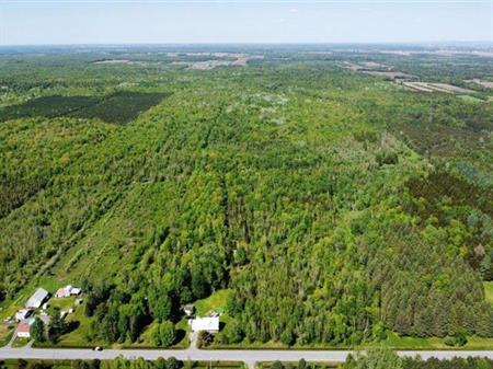 St-Lucien (Centre-du-Québec) : Terre à bois de 62 acres avec ruisseau, sentiers et potentiel pour érablière et chasse