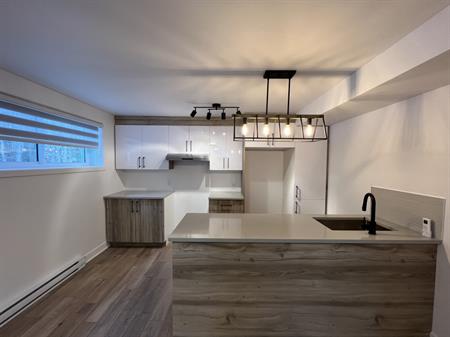 3 1/2 Moderne Dans Bel Environnement