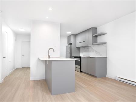 2 Bedrooom - 283 Saint Augustin Street, Montréal