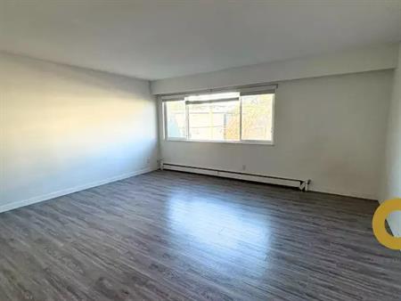 Spacious Studio Near Highgate village on Kingsway!! | 6831 Arcola Street, Burnaby