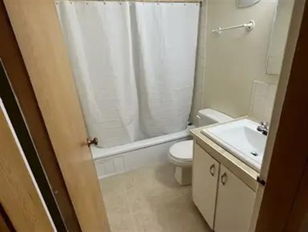 Cozy Two Bedroom Lower Duplex | 713 53 Avenue Southwest, Calgary