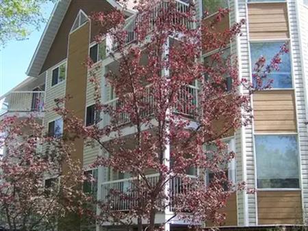 2 bed 2 bath university area condo for rent | 204 - 12035 82 St NW, Edmonton