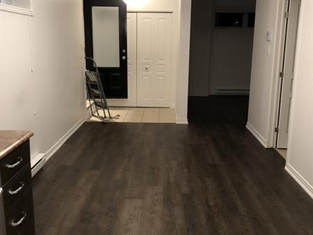 Appartement Fraîchement Rénovée
