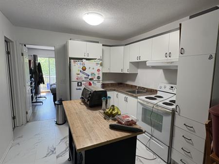 Logement 1 Chambre à Louer -Angers