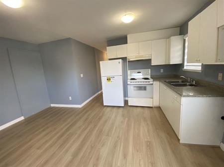 Large 1 bed 1 den  ground unit for rent near Metrotown | forrest st Boundary Road, Burnaby