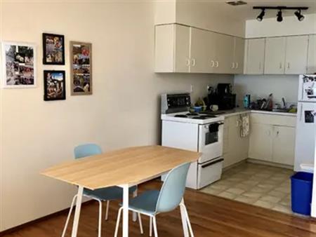 Main Floor Bachelor Suite across from Beacon Hill Park! | 1020 Park Boulevard, Victoria