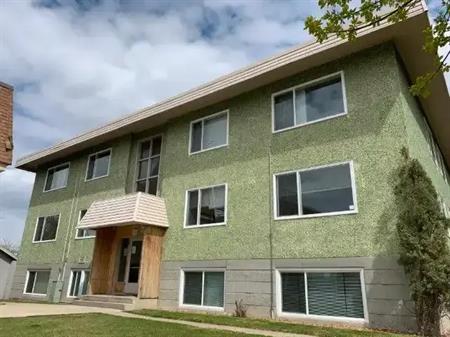 204 4413B 51 Avenue | 204 4413B 51 Avenue, Red Deer