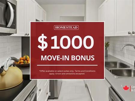 Sandringham | 85 Range Road, Ottawa