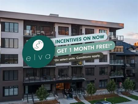 Elva | 320 25th Ave SW, Calgary