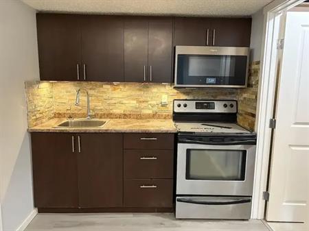 Cozy independent one bedroom secondary suite with private entrance | 20 Sage Berry Road Northwest, Calgary