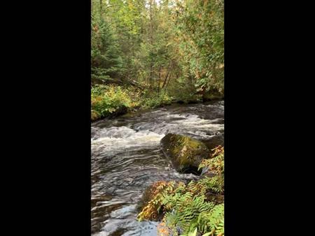 terre à bois à vendre