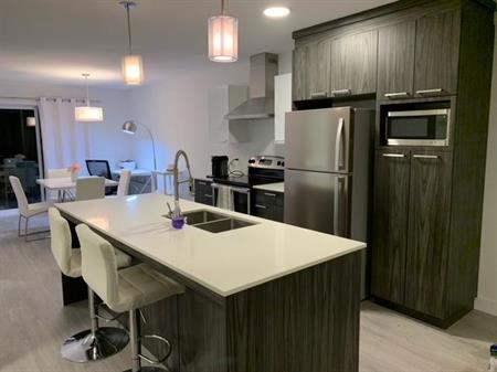 Immeuble - 287 Chemin Plante Appartement à Louer – 4 Et Demi