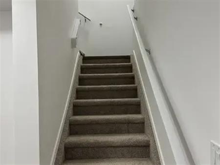 Brand new, fully furnished, spacious 1 bedroom basement apartment | Edmonton