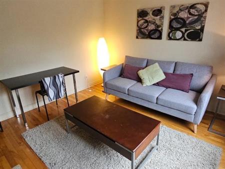 A louer 3 1/2 meublé + électricité INCLUSE + jardin - Juillet