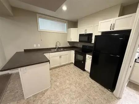 Basement, 22119 89 Avenue Northwest  Rosenthal, Edmonton, AB | 22119 89 Avenue Northwest, Edmonton