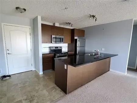 Newer 2 Bed 2 Full Bath Condo in South Terwillegar - May 15th | 9351 Simpson Drive, Edmonton