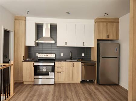 Appartement 5 1/2 Nouvelle Construction / Apartment 5 1/2 New Construction