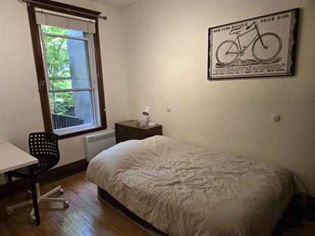 Chambre Meublée Sur Le Plateau