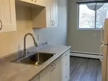 Spacious 1 Bedroom, Walk to UofA,  Whyte Ave, Convenient Bus Route | 10707 81 Avenue Northwest, Edmonton