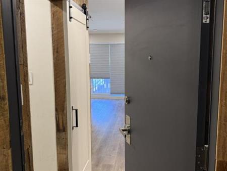 3 1/2 - Montréal (Rosemont) - 1 625 $/mois