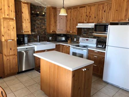 BAS DE DUPLEX - 3 CHAMBRES - 9 PIÈCES - ST-HYACINTHE - 2 ÉTAGES