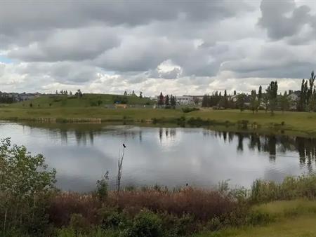 Beautiful house with a gorgeous pond view! | 37 Brightonstone Landing Southeast, Calgary